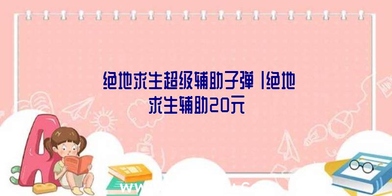 「绝地求生超级辅助子弹」|绝地求生辅助20元